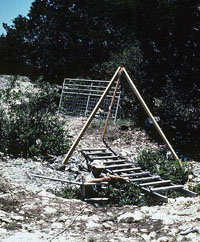 photo of Bering Sinkhole