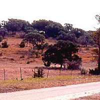 photo of Flint Knob