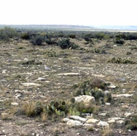 view of Crockett County