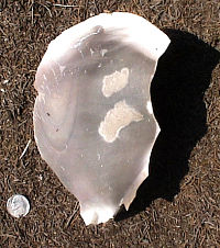 photo of black flint