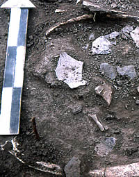 photo of potsherds