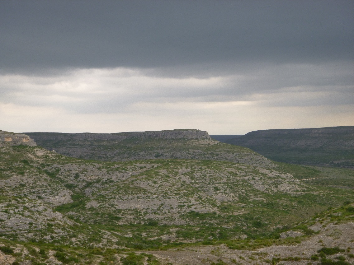 photo of arid rocky canyon setting with green vegetation