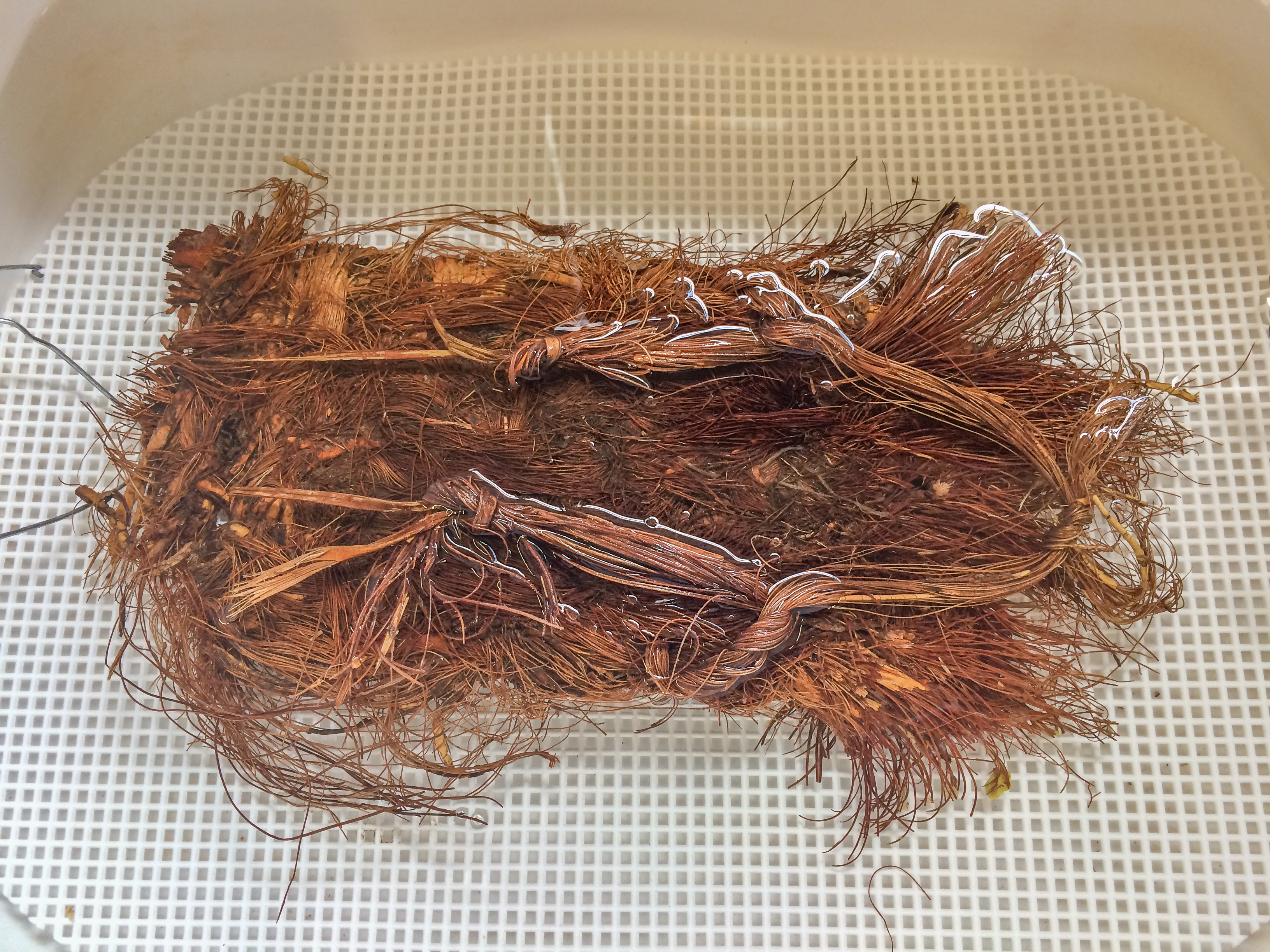 plant fiber sandals submerged in colorless liquid in a white bin