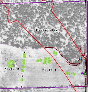 The 45-acre Williams farmstead with key cultural features mapped on top of the 1937 aerial photograph