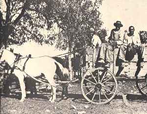 Photo of a farm family in northeastern Travis County