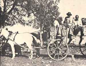 Photo of a farm family in northeastern Travis County