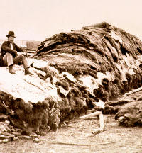 A stack of buffalo hides at a Dodge City hide yard. Commercial buffalo hunters slaughtered the animals by the thousands and left their carcasses to rot on the Plains. Photo courtesy of the Kansas State Historical Society.