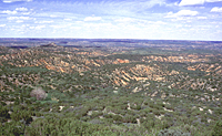 Scene of the Battle of Red River site and surrounding environs. Photo courtesy of the Texas Historical Commission.