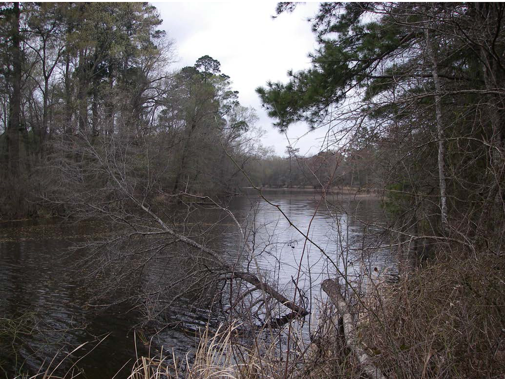 color photo looking up a linear oxbow lake lined by tall trees