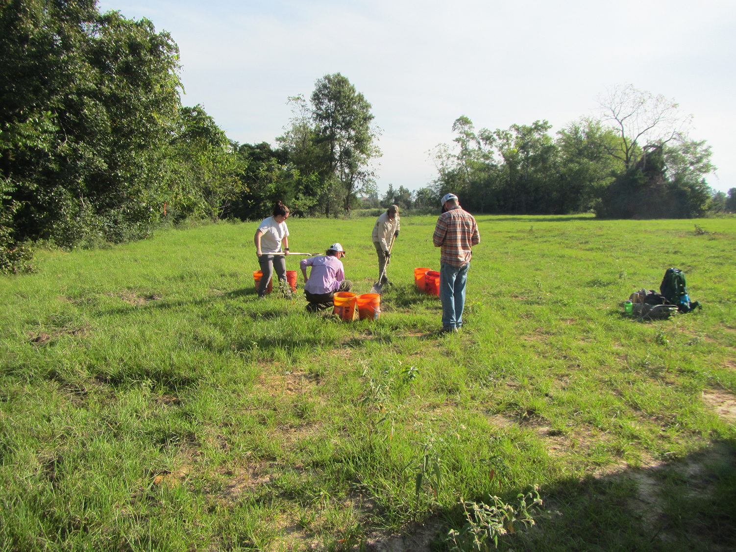 Photo archeologists digging shovel tests in middle of open field ringed by trees