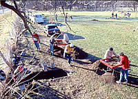 Test excavations along this fence row showed that this area of the site contained the least damaged deposits because of the protection afforded by the fence (plowing stopped short of the fence).