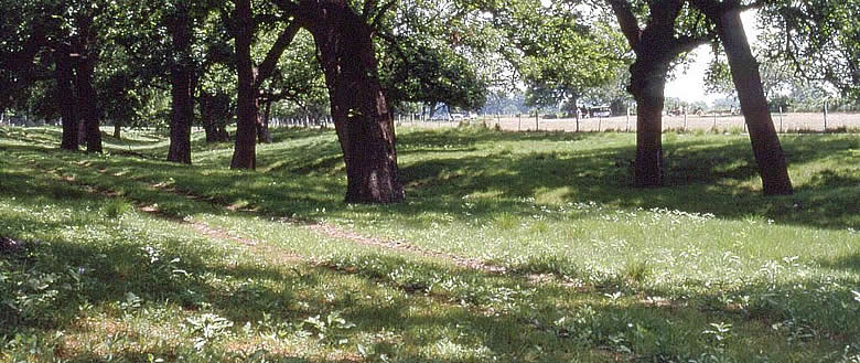 A spring, the river, and Harris Hollow (pictured) served as the three sources of water.