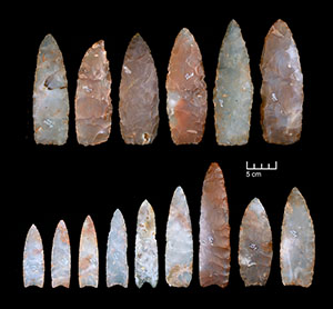 Photo of Clovis projectile points from the Fenn Cache