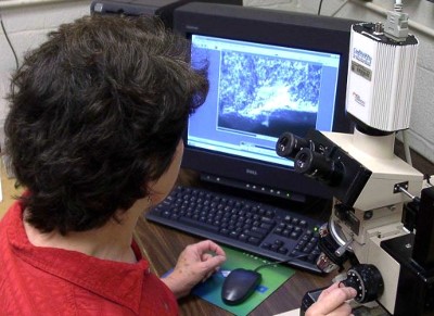 Analyst looking through microscope