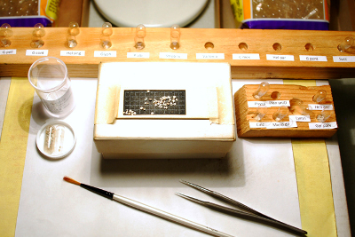 lab equiptment with tiny snail shells