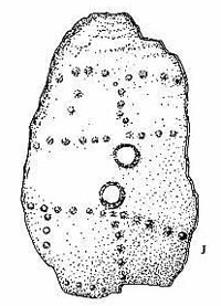 pendant