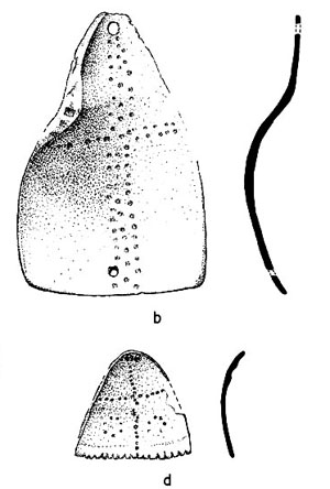 drawing of marine and freshwater shell pendants