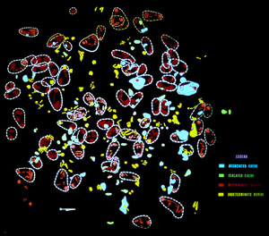 plan view of burials and "caches"