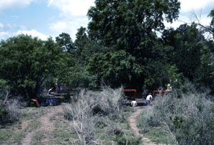 photo of the excavation