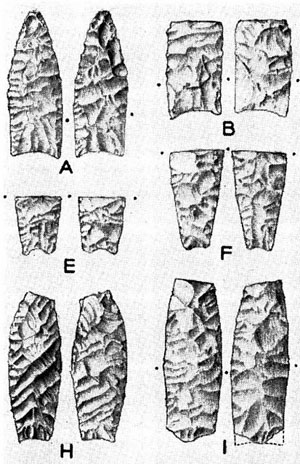 paleoindain projectile points