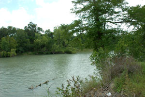 photo of the Guadalupe River