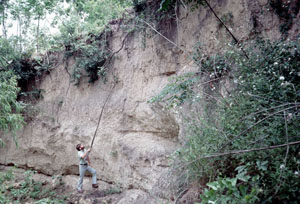 photo of Bill Birmingham