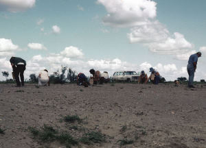 photo of upland landscape