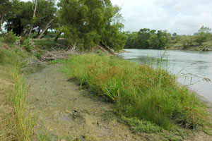 photo of a guadalupe slimebar