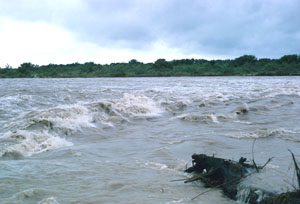 photo of nueces river gravels