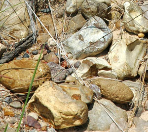 photo of uvalde gravels-east