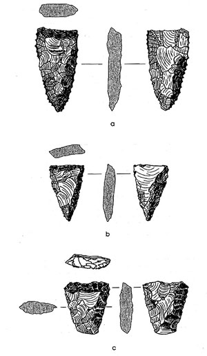 illustration of Olmas bifaces