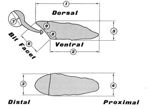 illustration of adze and terminology