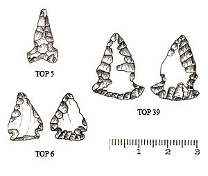 drawing of obsidian arrow points