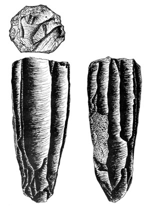 drawing of a clovis core