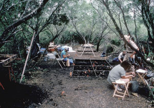 photo of the excavation at Batot-Hooker site