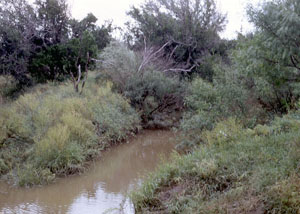 photo of Turkey Creek