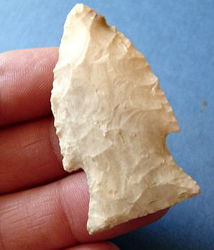 photo of a wilson point