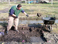 photo of the excavation