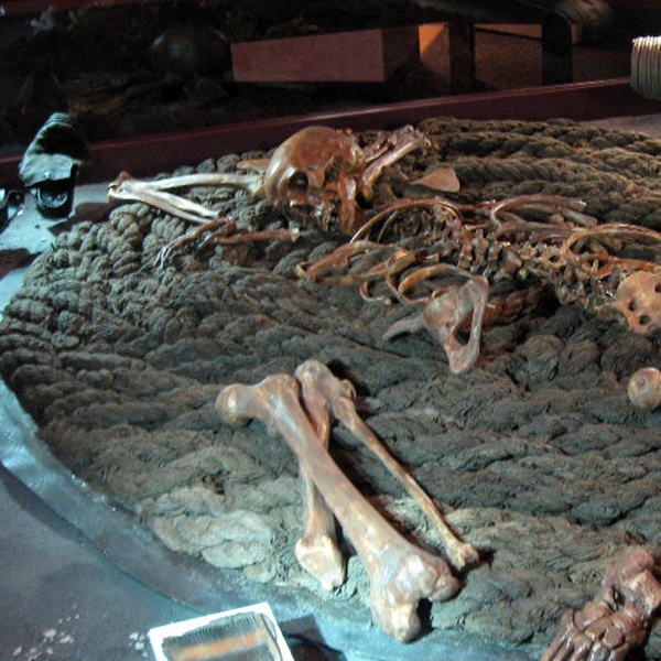 photograph of skeleton on top of a large coil of thick rope