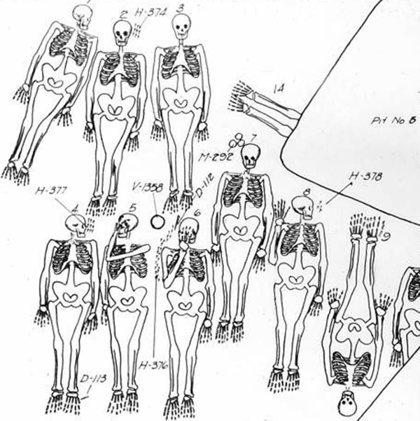 black and white schematic illustration of excavated skeletons in situ