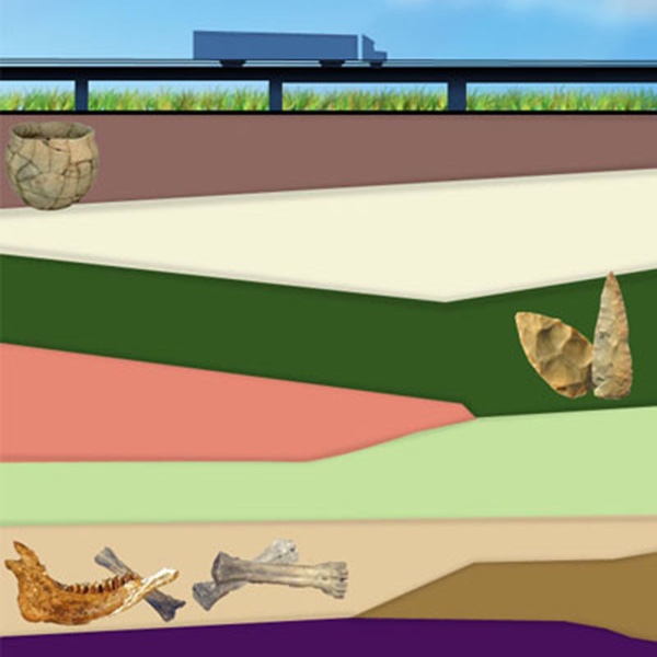 schematic drawing of stratigraphy