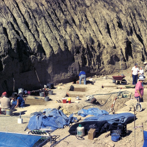 photograph of archeologists working next to a very tall wall of dirt