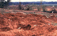 Looted Cemetery