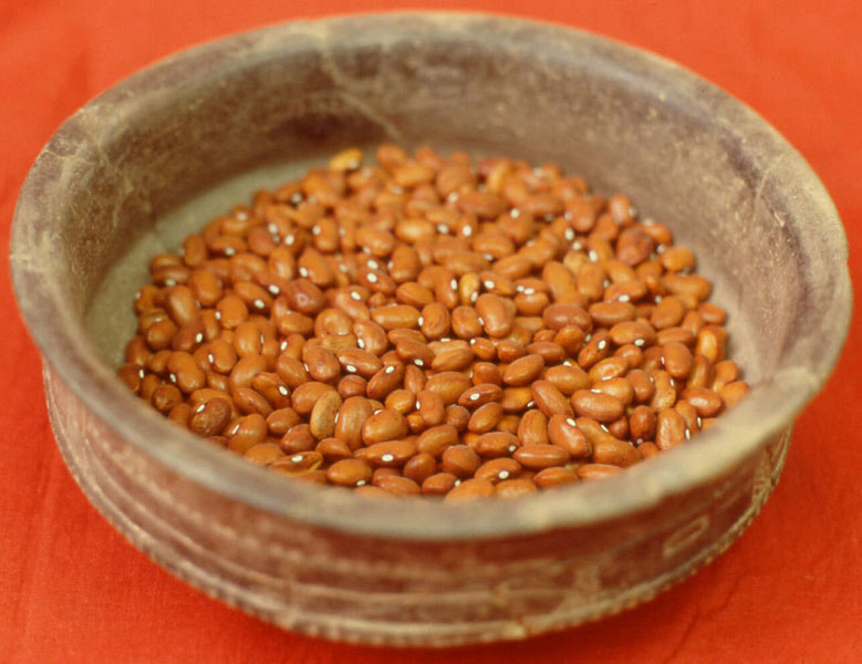 beans-lg.jpg