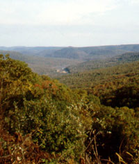 Boston Mountains