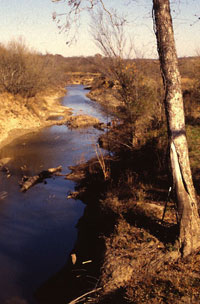 Bois d'arc creek