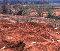 looted cemetery