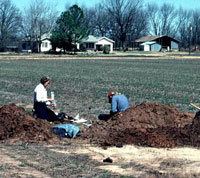 grave robbers at work