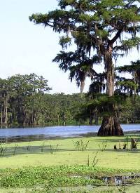 Smithport Lake