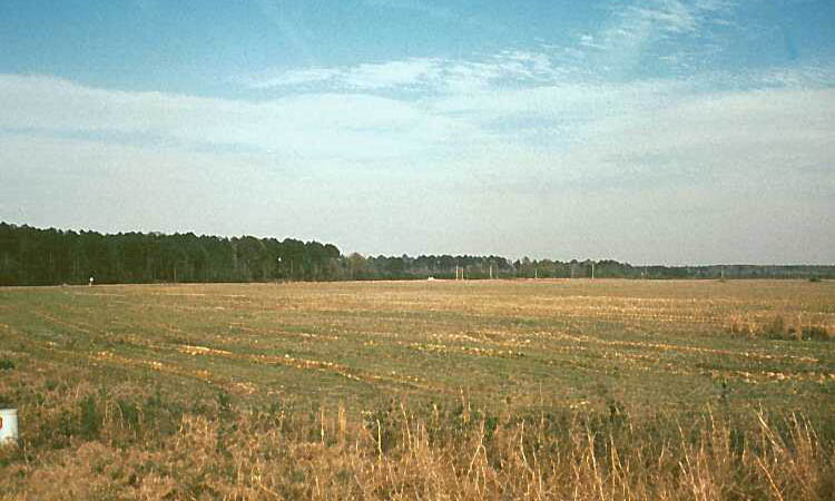 Photo of Ouachita river valley